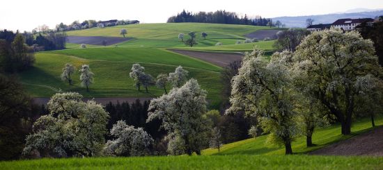 Muehlviertel-23