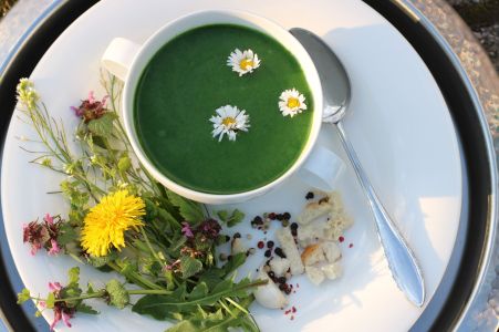 Spinatsuppe (1)