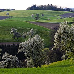 40 Jahre Landesstelle NÖ - Landesausflug