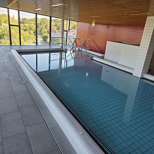 Start der neuen UWG-Therapiegruppe & mehr