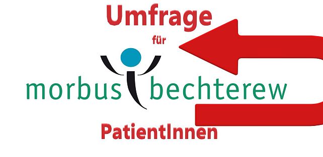 Umfrage 2023 Ergebnis