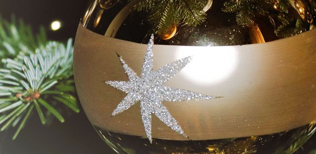 Landesversammlung Wien mit Weihnachtsfeier